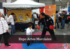 Expo Artes Marciales Monterrey