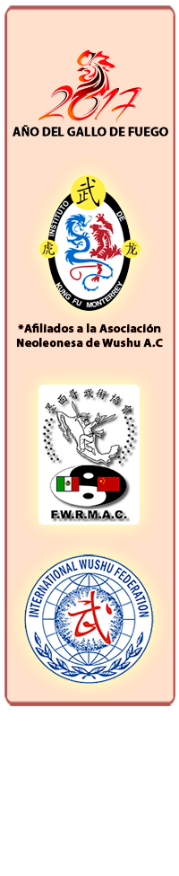 Kung Fu Monterrey